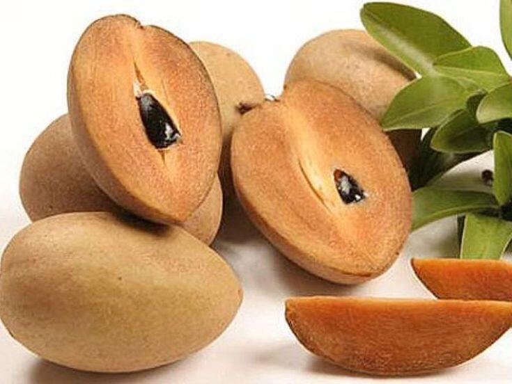 Chikoo…Manilkara Zapota Health Benefits